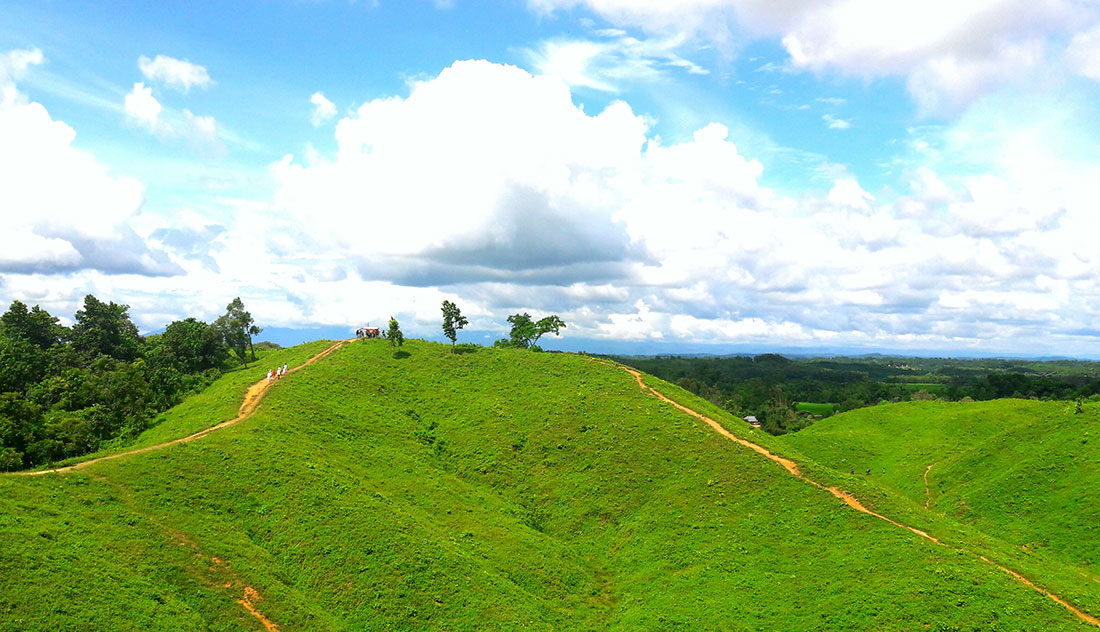 নরনাইলা (রাজার) পাহাড় (শ্রীবরদী)